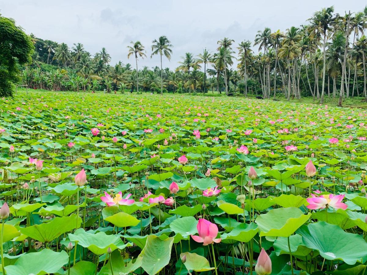 Maadathil Cottages วาร์คาลา ภายนอก รูปภาพ